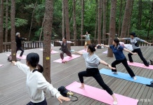 숲속 요가로 힐링｜동아일보 숲속 요가로 힐링