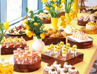 계수미｜기자 구독｜동아일보 계수미 기자