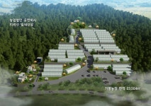 산양삼 대량 생산 농장 건설… 월 20% 수익에 잎새산삼도 제공｜동아일보 산양삼 대량 생산 농장 건설… 월 20% 수익에 잎새산삼도 제공