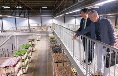 한국농수산식품유통공사, 유럽서 K-푸드 및 화훼 수출 확대방안 모색｜동아일보 한국농수산식품유통공사, 유럽서 K-푸드 및 화훼 수출 확대방안... 