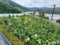 500억원 투입된 국내 최대 수영장, 곳곳이 문제 투성이｜동아일보 500억원 투입된 국내 최대 수영장, 곳곳이 문제 투성이