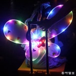 [고양이 눈]오색빛깔 날개｜동아일보 [고양이 눈]오색빛깔 날개