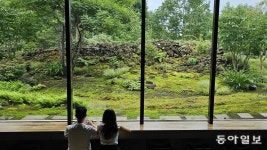 아버지의 삼천평 감귤농장을 이끼 정원으로 바꾼 아들[김선미의 시크릿가든]｜동아일보 아버지의 삼천평 감귤농장을 이끼 정원으로 바꾼 아들... 