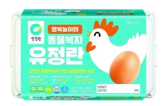 정원에서 자유롭게 뛰놀던 닭이 낳은 건강한 달걀 드세요｜동아일보 정원에서 자유롭게 뛰놀던 닭이 낳은 건강한 달걀 드세요