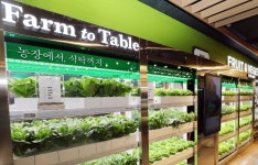 지속가능한 미래 농업 위한 스마트팜의 역할을 말하다｜동아일보 지속가능한 미래 농업 위한 스마트팜의 역할을 말하다