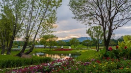 순천만 습지 복원과 정원으로 도시를 바꾼 ‘공무원 덕림씨’[김선미의 시크릿가든]｜동아일보 순천만 습지 복원과 정원으로 도시를 바꾼... 