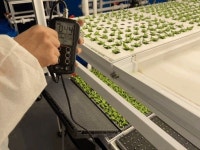 “최저시급 받던 장애인 가족이 공동대표가 됐습니다”｜동아일보 “최저시급 받던 장애인 가족이 공동대표가 됐습니다”