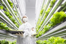 연암대학교, LG가 설립하고 지원하는 국내 최고의 차세대 농업기술 선도대학｜동아일보 연암대학교, LG가 설립하고 지원하는 국내 최고의... 