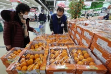 감귤 가격 1년새 23% ‘껑충’｜동아일보 감귤 가격 1년새 23% ‘껑충’