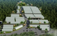 “3000만원 투자 땐 연 20% 수익 보장”｜동아일보 “3000만원 투자 땐 연 20% 수익 보장”