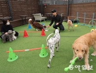 ‘우리동네 펫 위탁소’ 취약계층 비용 지원｜동아일보 ‘우리동네 펫 위탁소’ 취약계층 비용 지원