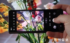 스마트폰으로 봄 꽃 사진 찍을 땐 이렇게![이럴땐 이렇게!]｜동아일보 스마트폰으로 봄 꽃 사진 찍을 땐 이렇게![이럴땐 이렇게!]