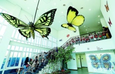 “꽃단장 마친 불암산 나비정원으로 놀러오세요”｜동아일보 “꽃단장 마친 불암산 나비정원으로 놀러오세요”