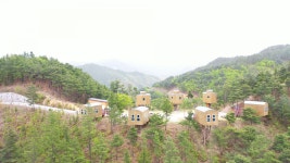 별빛이 내린다… 숲에서 별 보고 명상하니 여기가 무릉도원｜동아일보 별빛이 내린다… 숲에서 별 보고 명상하니 여기가 무릉도원