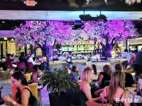 멕시코 문화를 즐기는 ‘하성 킴의 도시’[전승훈 기자의 아트로드]｜동아일보 멕시코 문화를 즐기는 ‘하성 킴의 도시’[전승훈 기자의 아트로드]