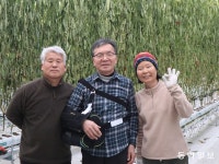 철원에서 5년째 파프리카 농사, “잠시 쉬러 온 고향에 뼈를 묻기로 했죠”[서영아의 100세 카페]｜동아일보 철원에서 5년째 파프리카 농사... 
