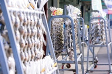 ‘찌이익’ 포장소리 안 들리는 영광 굴비거리…설 주문 ‘반토막’｜동아일보 ‘찌이익’ 포장소리 안 들리는 영광 굴비거리…설 주문 ‘반토막’