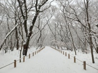 산청·함양·거창·합천 대설주의보…경남도, 비상대응1단계｜동아일보 산청·함양·거창·합천 대설주의보…경남도, 비상대응1단계