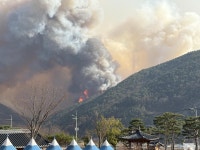 전국 모든 지역 산불재난 위기경보 ‘주의→심각·경계’ 상향｜동아일보 전국 모든 지역 산불재난 위기경보 ‘주의→심각·경계’ 상향