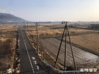 민동용｜기자 구독｜동아일보 민동용 기자