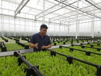 폭염에 가격 폭등한 채소…‘애그테크 농장’이 균일가 지켰다｜동아일보 폭염에 가격 폭등한 채소…‘애그테크 농장’이 균일가 지켰다