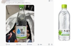 리모(파인핏) - 기업정보 | 투자, 매출, 기업가치 - THE VC