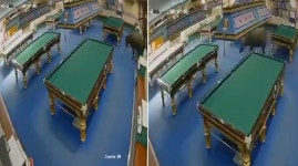 도축장 탈출한 물소…도심 질주하다 당구장 돌진｜동아일보 도축장 탈출한 물소…도심 질주하다 당구장 돌진