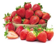 [프리미엄뷰]딸기-나물-생주꾸미-멍게… 맛있는 봄 최대 50% 할인｜동아일보 [프리미엄뷰]딸기-나물-생주꾸미-멍게… 맛있는 봄 최대 50% 할인