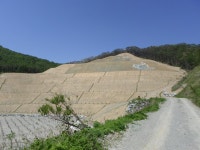 “골재 산업, 환경 규제 현실화 없인 미래 없다”｜동아일보 “골재 산업, 환경 규제 현실화 없인 미래 없다”