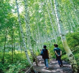 김태영｜기자 구독｜동아일보 김태영 기자