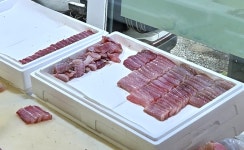 홍어 53t 원산지 속인 업체 2곳 적발…장례식장·식당 유통｜동아일보 홍어 53t 원산지 속인 업체 2곳 적발…장례식장·식당 유통