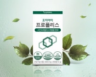 오지아이생활건강 ‘그린 프로폴리스’ 봄맞이 영양제 선봬｜스포츠동아 오지아이생활건강 ‘그린 프로폴리스’ 봄맞이 영양제 선봬