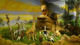 제주 아프리카 박물관 입장권 | 트립닷컴