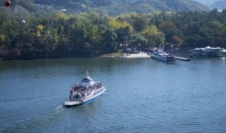 자연과 액티비티를 동시에! 가평 남이섬