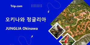 오키나와 정글리아 오픈 준비! 새로운 쥬라기 공원 컨셉 테마파크