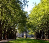 멜번사람은어디로가지 멜번 힙 스트릿 투어 로컬처럼 즐기는 하루 | 트립닷컴