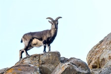 허란산/하란산 국가삼림공원 - 입장권, 운영 시간, 후기 & 사진 [2024년] | Trip.com