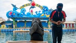 분계주도 티켓 할인, 운영 시간, 후기 [2025년] | Trip.com