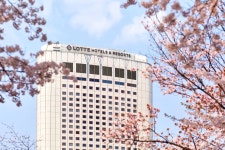 롯데호텔 국내외 인기 지점과 예약 꿀팁 총정리!