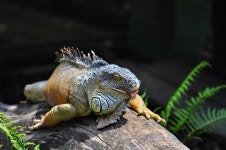 Green World Ecological Farm 티켓 할인, 운영 시간, 후기 [2025년] | Trip.com