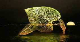 천도호 달빛연가 미디어 아트 나이트 투어 티켓 할인, 운영 시간, 후기 [2025년] | Trip.com