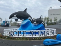 교토에서 고베 가는 방법: 다양한 이동방법 비교 정리 | 트립닷컴