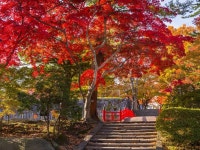 모리오카 여행: 도심을 벗어난 진짜 일본을 즐기고 싶다면!