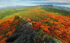 모리오카 여행: 도심을 벗어난 진짜 일본을 즐기고 싶다면!