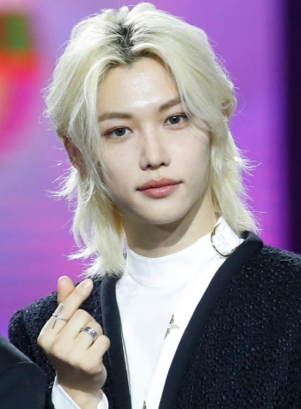 ‘23세’ 스트레이키즈 필릭스 1억원 기부…‘최연소’ 아너스클럽 멤버｜동아일보 ‘23세’ 스트레이키즈 필릭스 1억원 기부…‘최연소’...