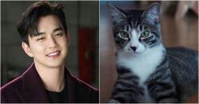 유승호, 유튜버 갑수목장 동물학대 의혹에 돈벌이 수단으로 생각말길... 유승호, 유튜버 갑수목장 동물학대 의혹에 돈벌이 수단으로 생각말길