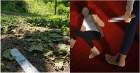 49군데 찔러’ 인제 등산객 묻지마 살인 20대…재판부 판단은... 49군데 찔러’ 인제 등산객 묻지마 살인 20대…재판부 판단은