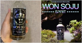 박재범 원소주, 이제 편의점 GS25에서 구매할 수 있다 | SNSFeed 제휴콘텐츠 제공 실시간 핫이슈 박재범 원소주, 이제 편의점 GS25... 