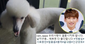 반려견, 재벌·총각·몸매 끝내줌 (비) | 디스패치 | 뉴스는 팩트다! 반려견, 재벌·총각·몸매 끝내줌 (비)