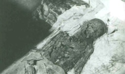 서태후의 막강 권력은 명품보이스에서 시작됐다(?) | 디스패치 | 뉴스는 팩트다! 서태후의 막강 권력은 명품보이스에서 시작됐다(?)